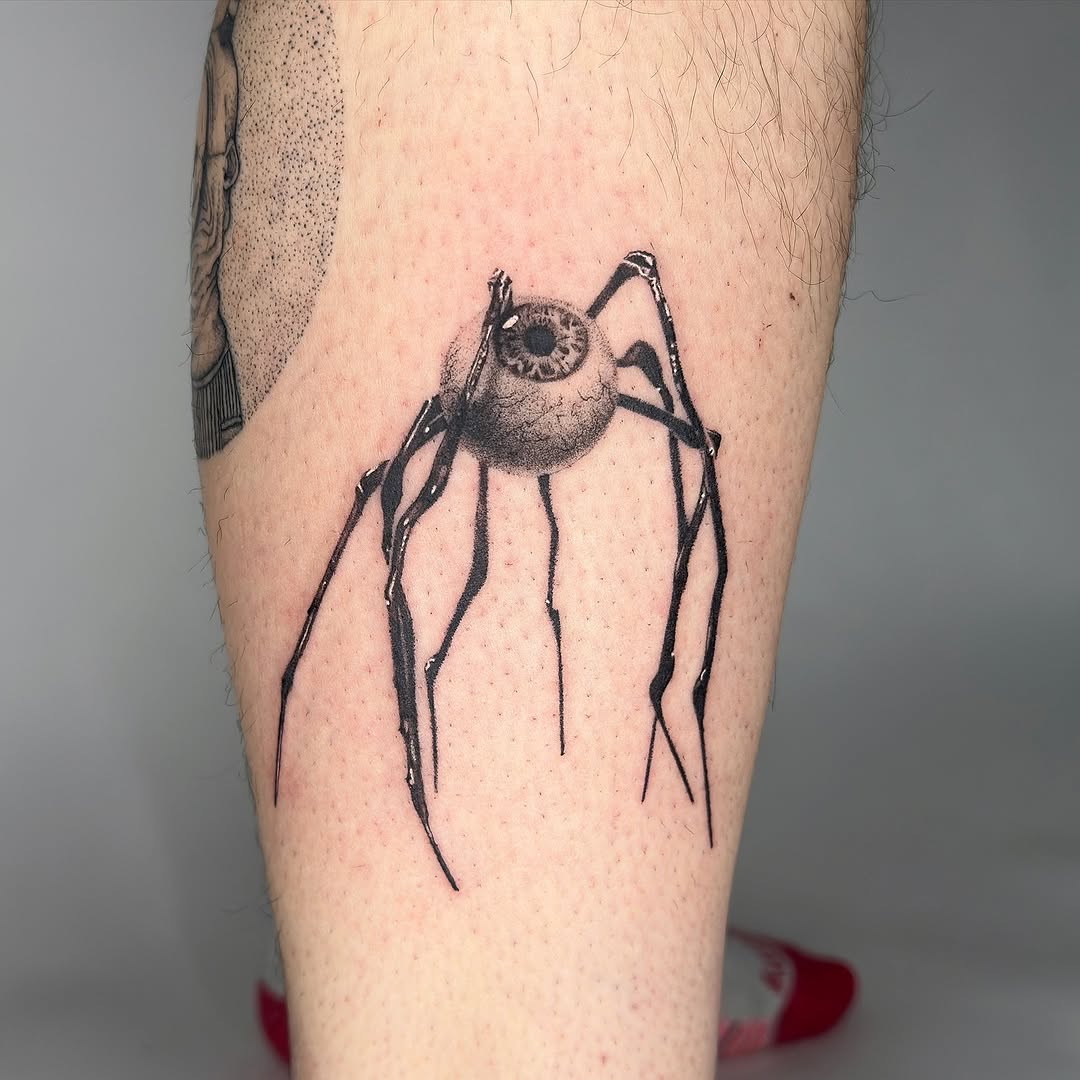 Animal, 거미
