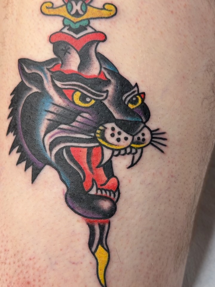 Tiger, Animal