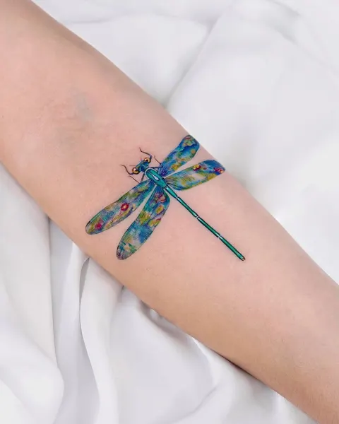 Animal, Nature, 잠자리, 매미