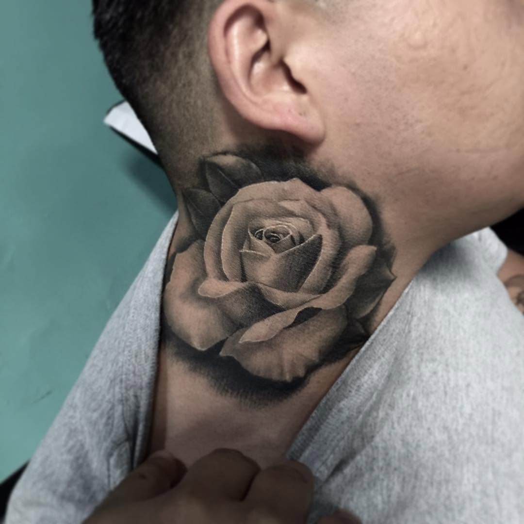 Flower, Rose, Nature