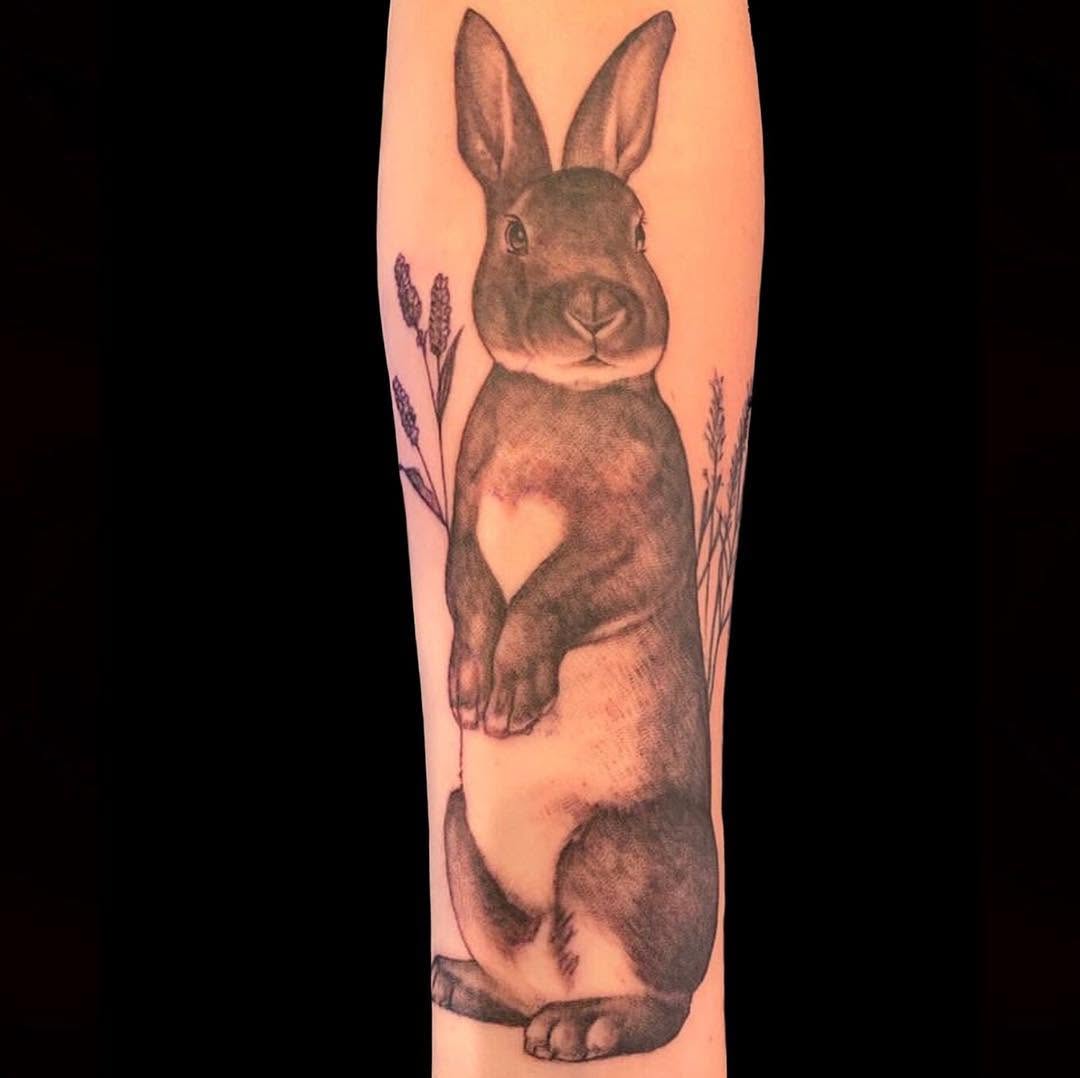 Animal, 토끼