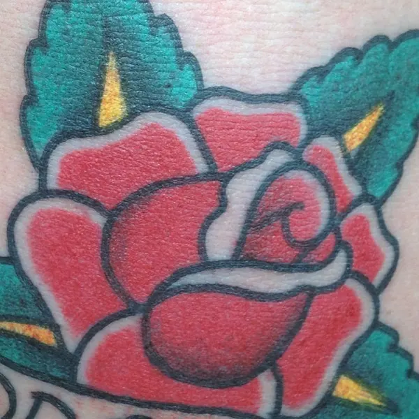 Flower, Rose