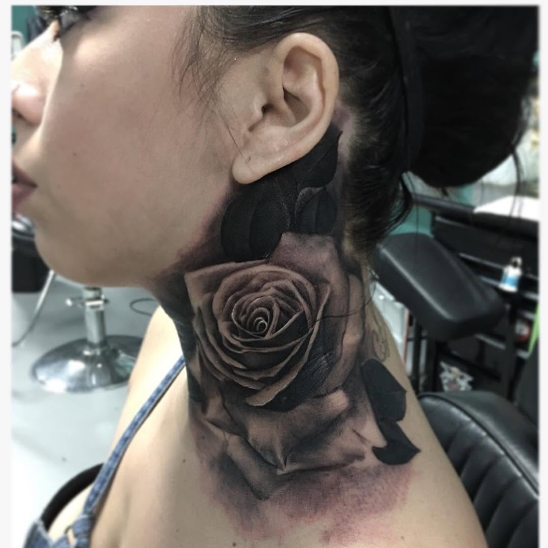 Flower, Nature, Rose