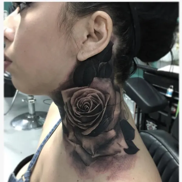 Flower, Nature, Rose