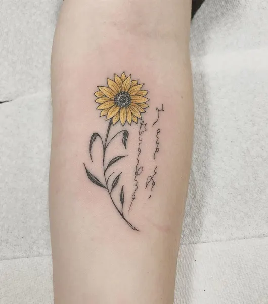 Flower, 해바라기, 수선화