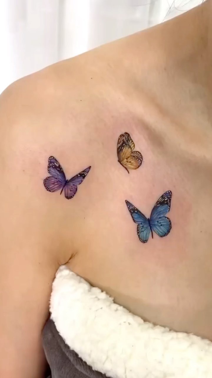 Animal, 나비