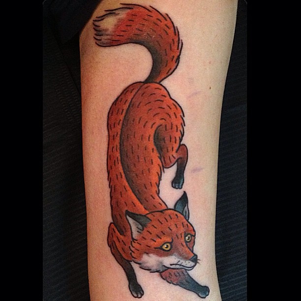 Animal, 여우, 다람쥐