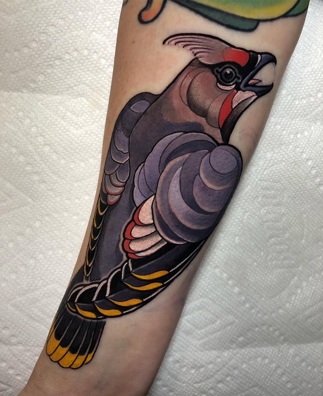 mattsteblytattoos