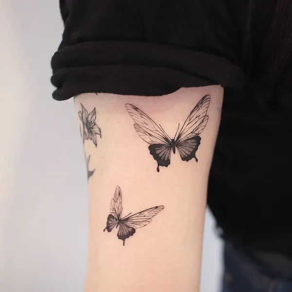 Animal, Nature, 단검
