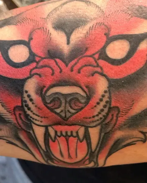 Tiger, Animal
