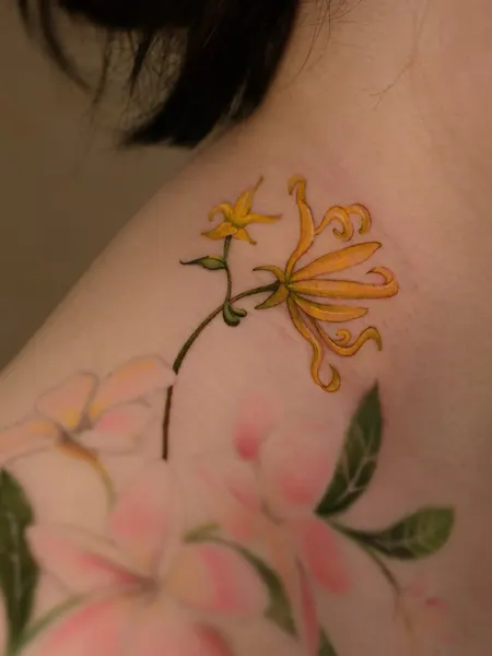 백합, Flower, 수선화, 탄생화, 오너멘탈, 꽃 배경, 야생화