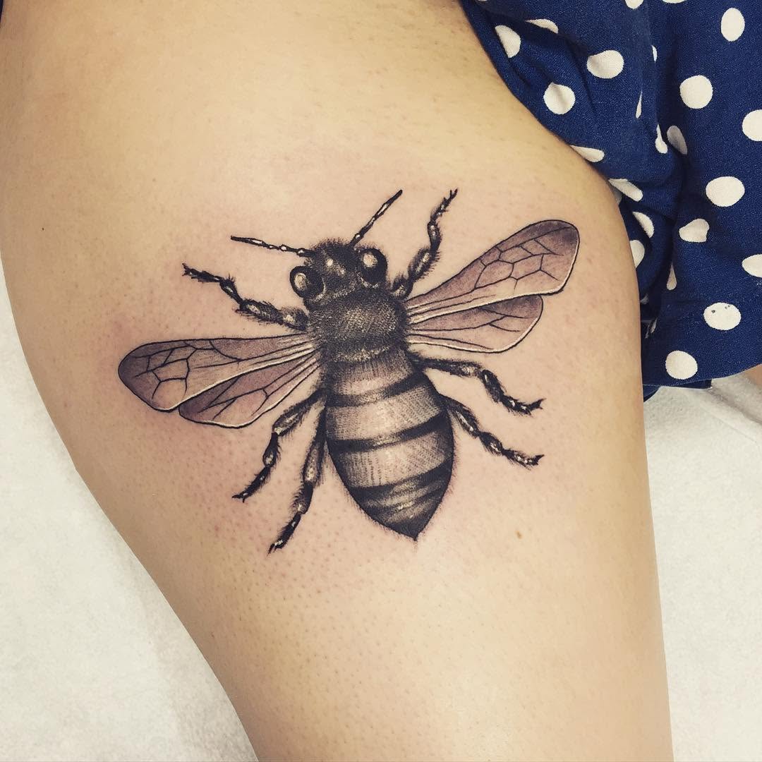 Animal, 벌