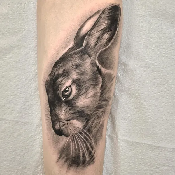 Animal, 토끼