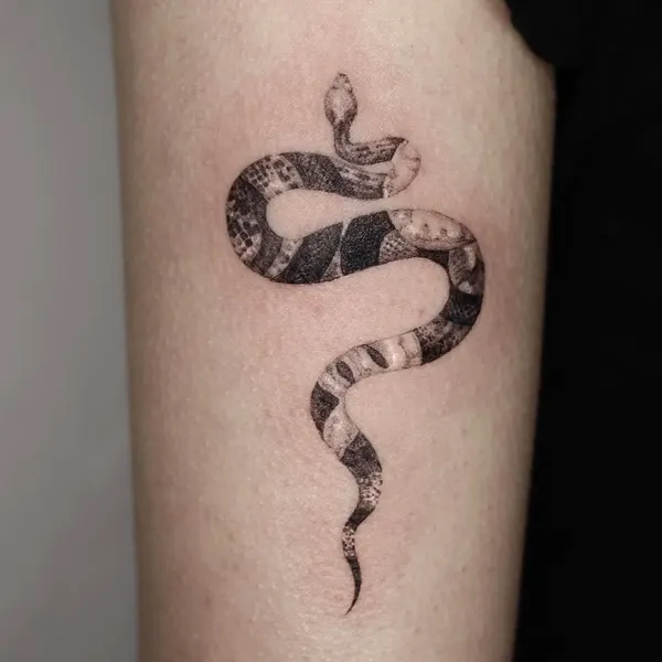 40.tatt