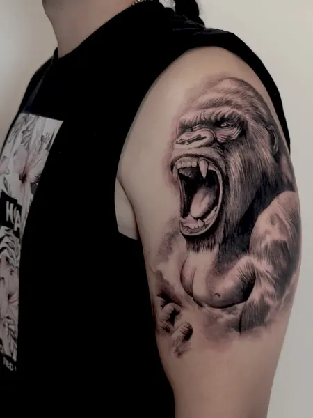 Tiger, Animal, 고릴라