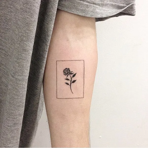 Flower, Rose, 프레임, 덩굴