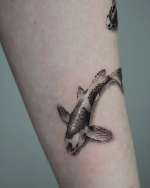 Animal, 잉어