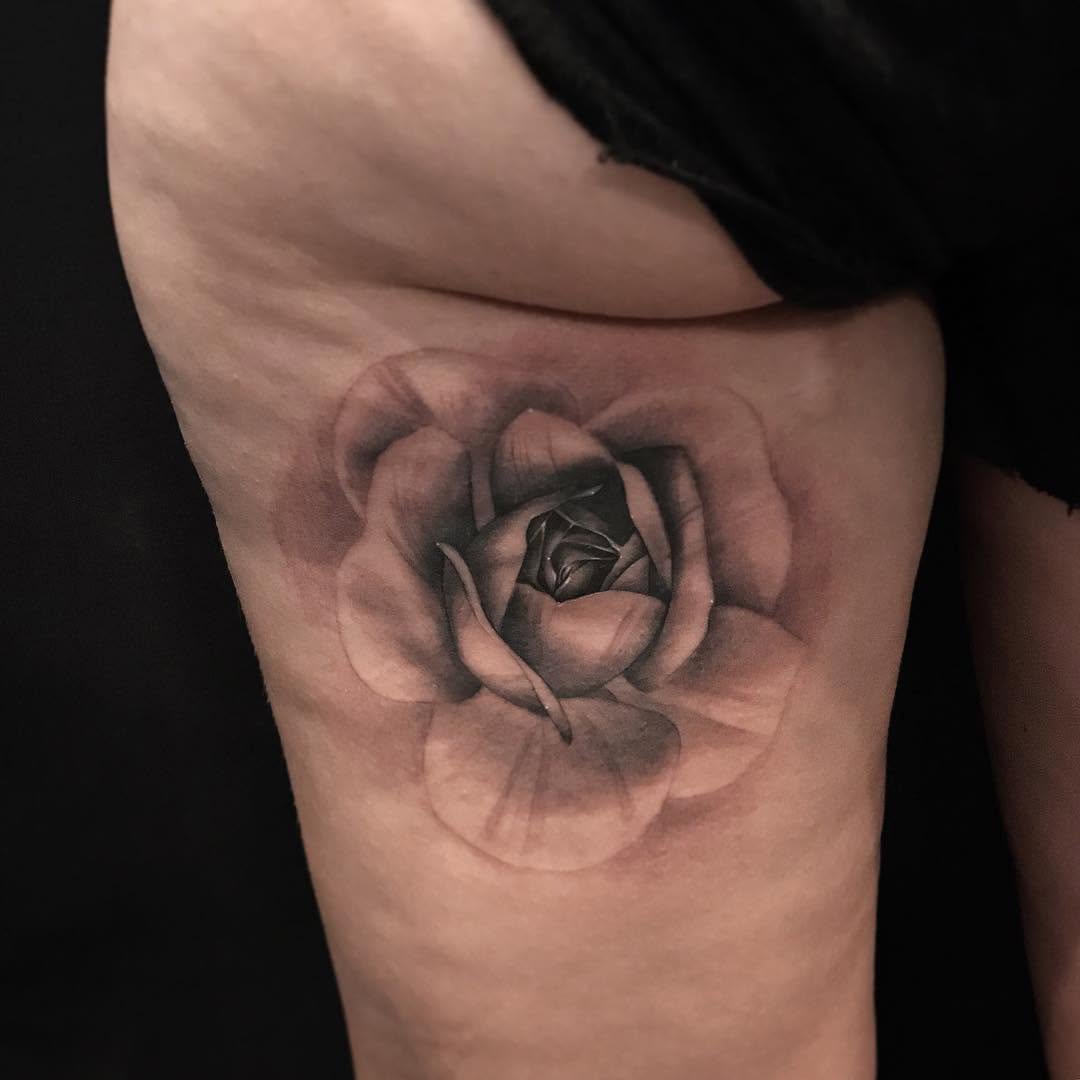 Flower, Rose