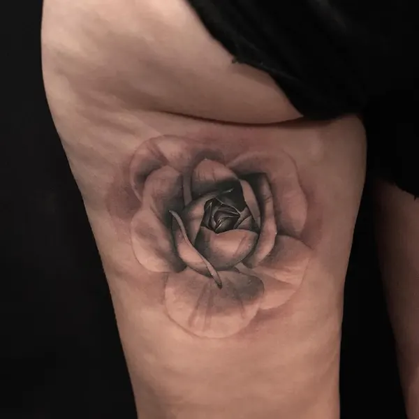 Flower, Rose