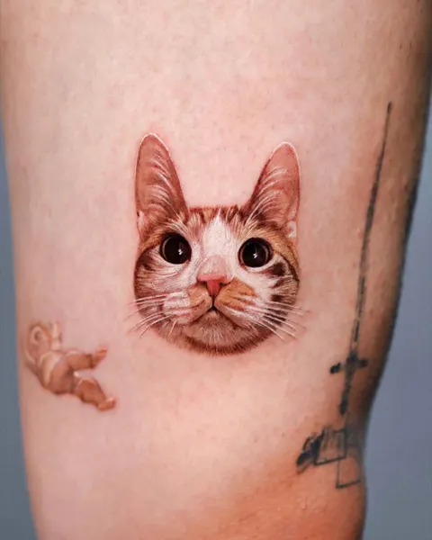 고양이