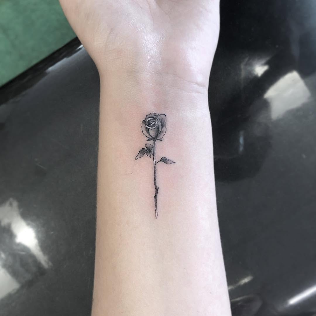 Flower, Rose
