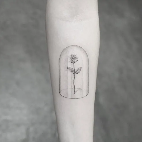 Flower, Rose, 촛불