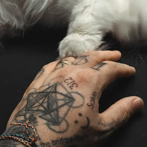 Animal