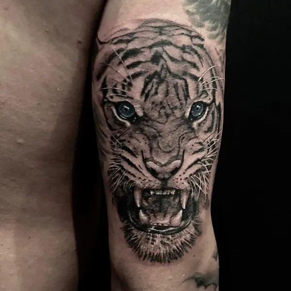 Tiger, 한국 호랑이, 일본 호랑이