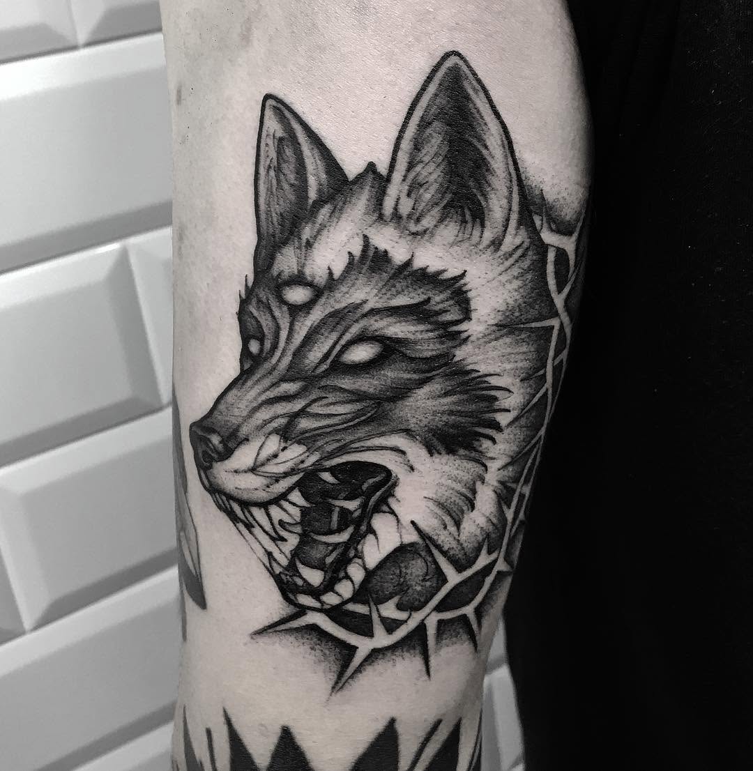 Animal, Tiger