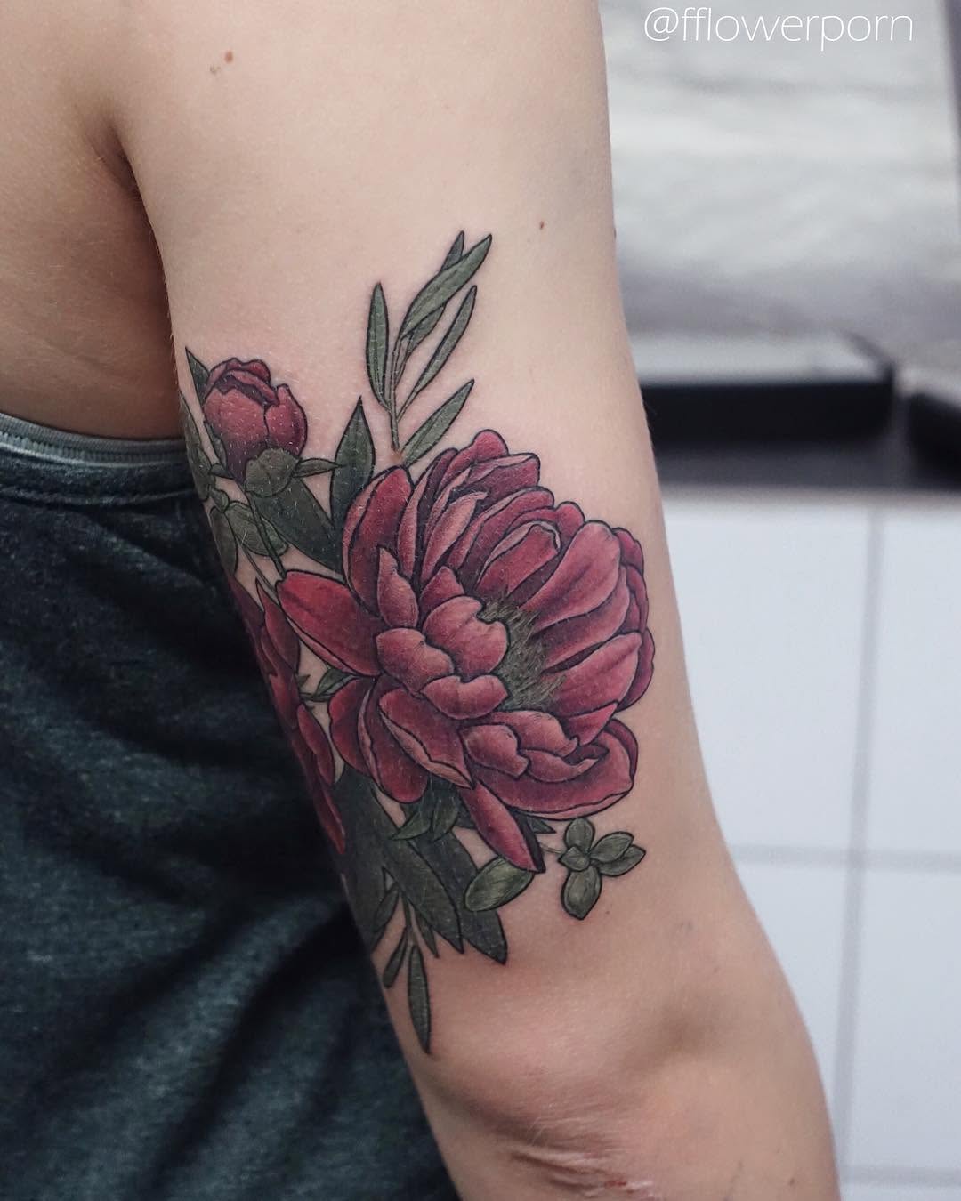 Flower, Rose, Nature