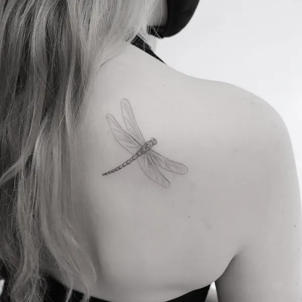 Animal, Nature, 잠자리, 매미, 전갈, 지네