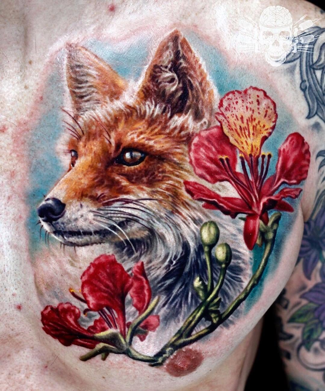 Animal, 여우