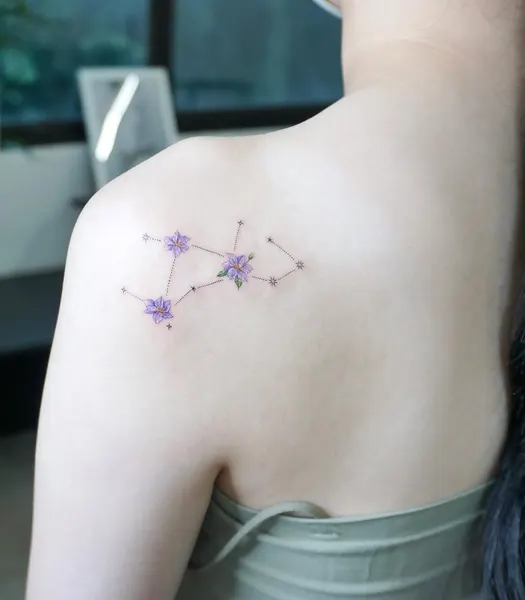 성좌, 별들, 혜성