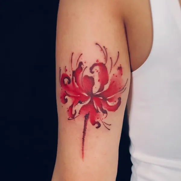 게, Flower, Rose, 전갈자리, 양귀비