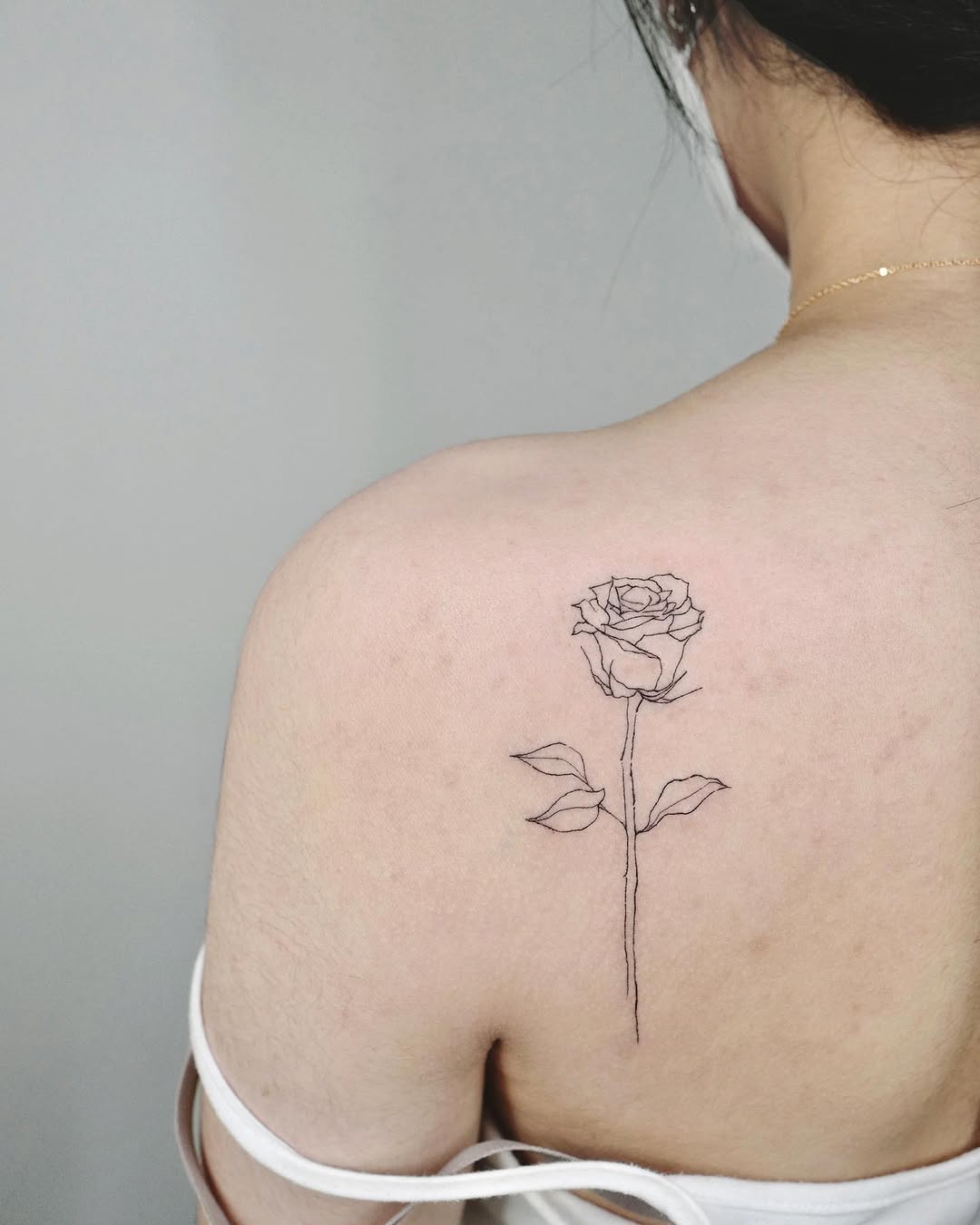 Flower, Rose, Nature