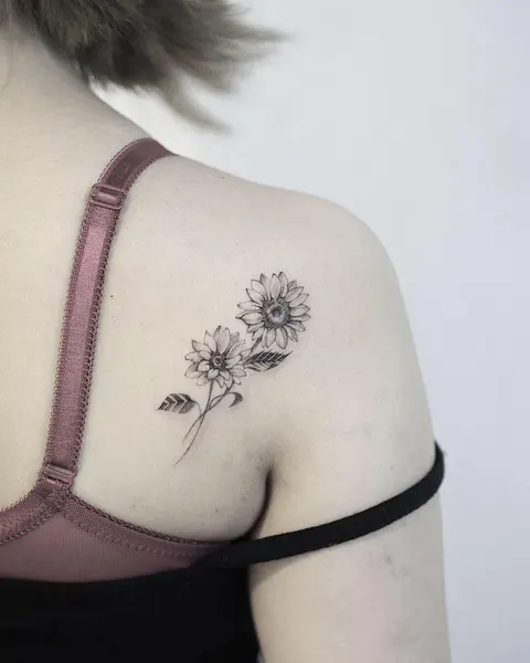 Flower, 모란, 데이지
