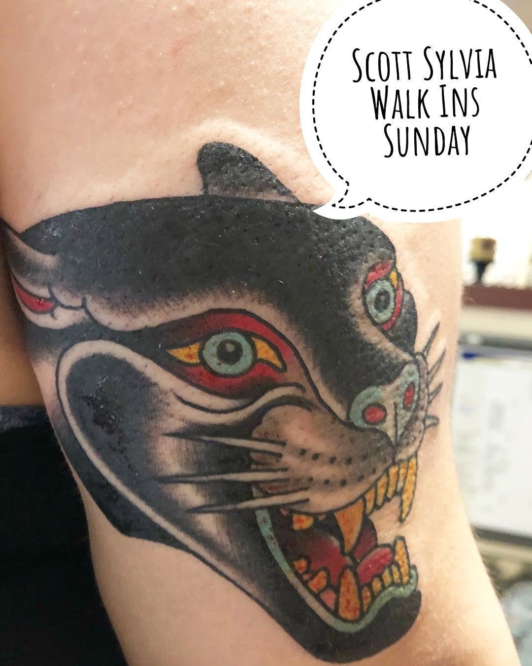 Tiger, Animal