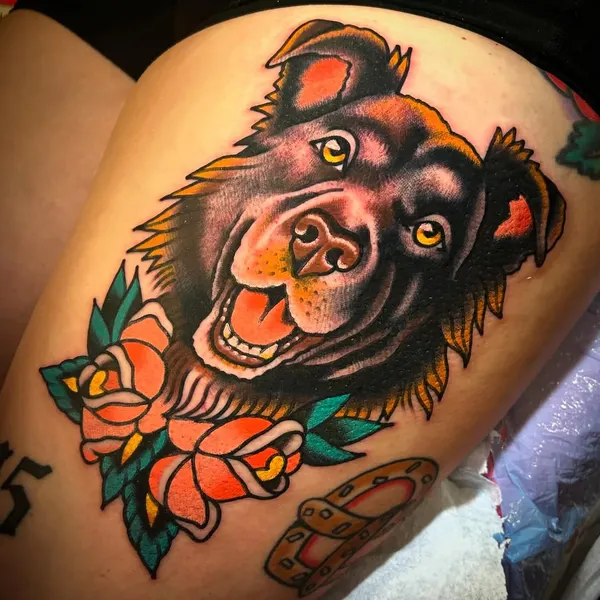 Tiger, Animal