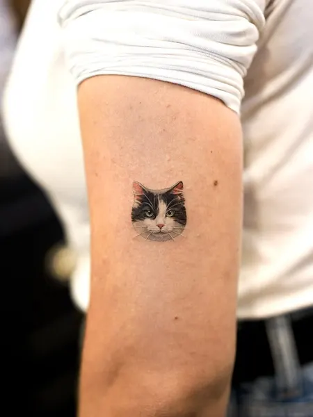 텐구, 함사, 고양이, 마네키네코, 여우 가면, 반려동물