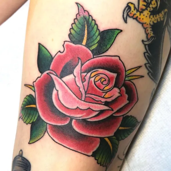 Flower, Rose