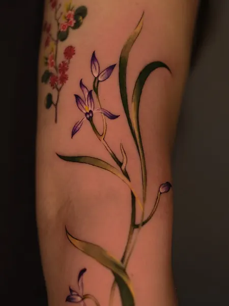 Flower, 난초