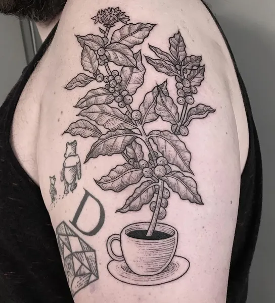 Flower, Rose, 컵, 커피