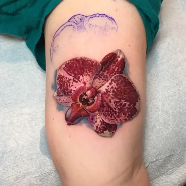 산호, Flower, 난초, 모란, 문어, 버섯
