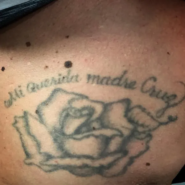 Flower, Rose, Nature