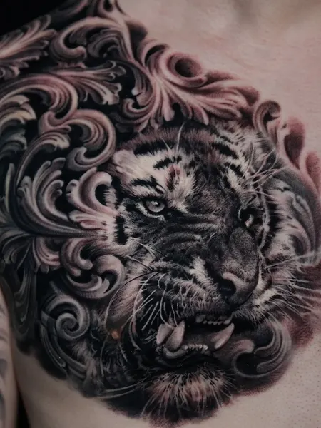 Tiger, 사자