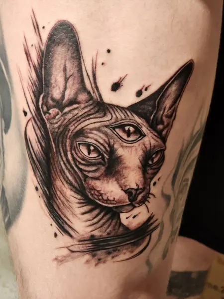 Animal