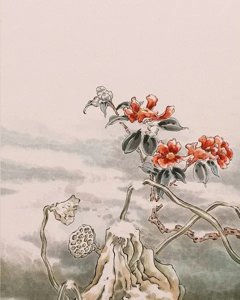 Flower, Nature