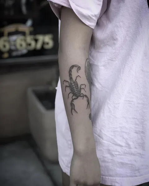 띠, 전갈자리