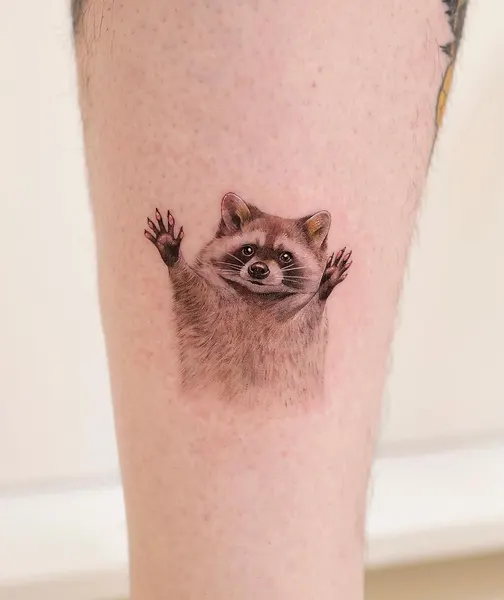 Animal, 판다, 너구리, 다람쥐, 고슴도치, 나무늘보