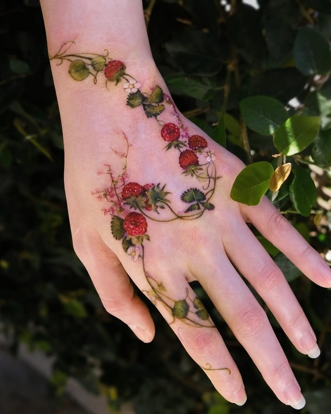 Flower, Nature